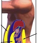 Abdominalne masti – saveti za skidanje
