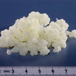 Kefir